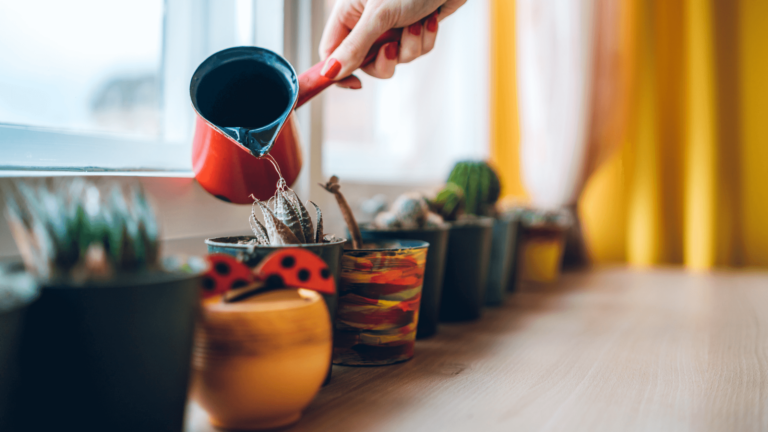 hand holding a small pitcher and is watering a potted plant