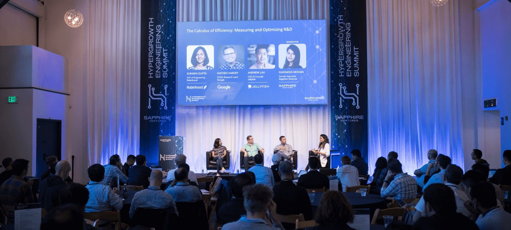 How to Balance AI Innovation and Efficiency | Sapphire Ventures