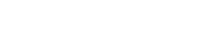 verbit_white_logo